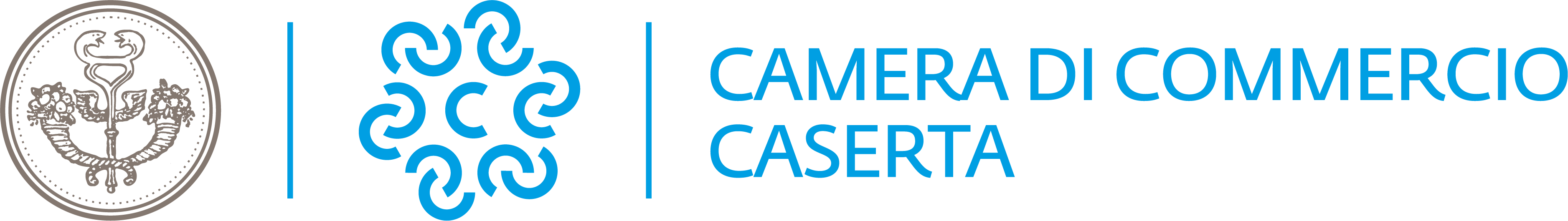 Camera di Commercio Caserta